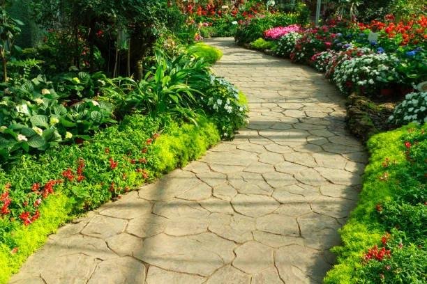 Stone garden path winding between dense planting
